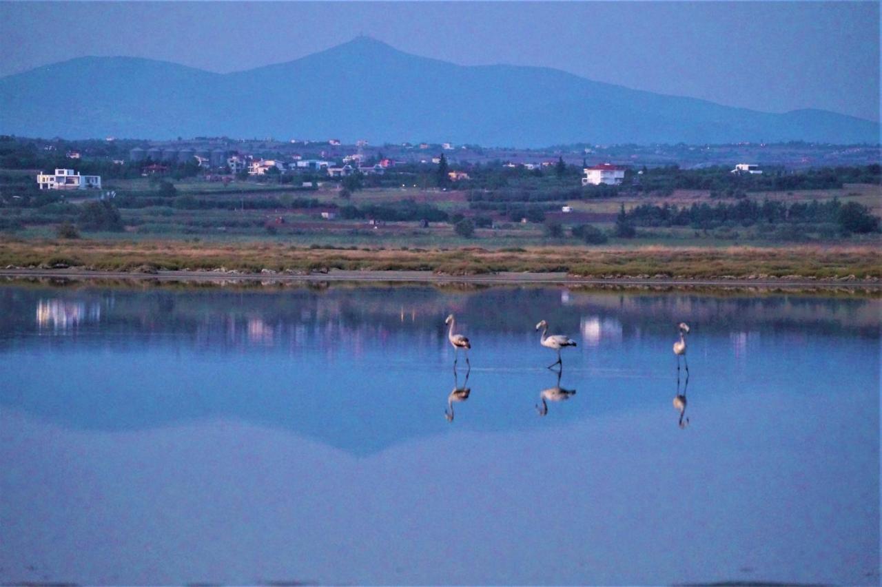 Απέραντο Γαλάζιο, Ορίζοντας, Καλαισθησία, Φιλοξενία Βίλα Επανωμή Εξωτερικό φωτογραφία